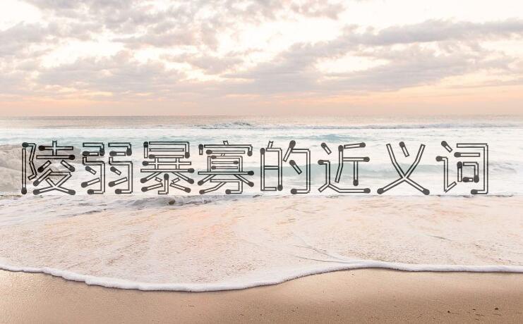 用陵弱暴寡造句
