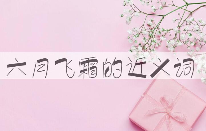 用六月飞霜造句