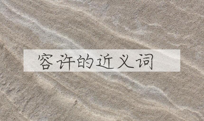 用容许造句