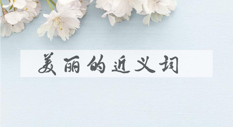 用美丽造句