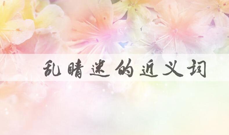 用目乱睛迷造句