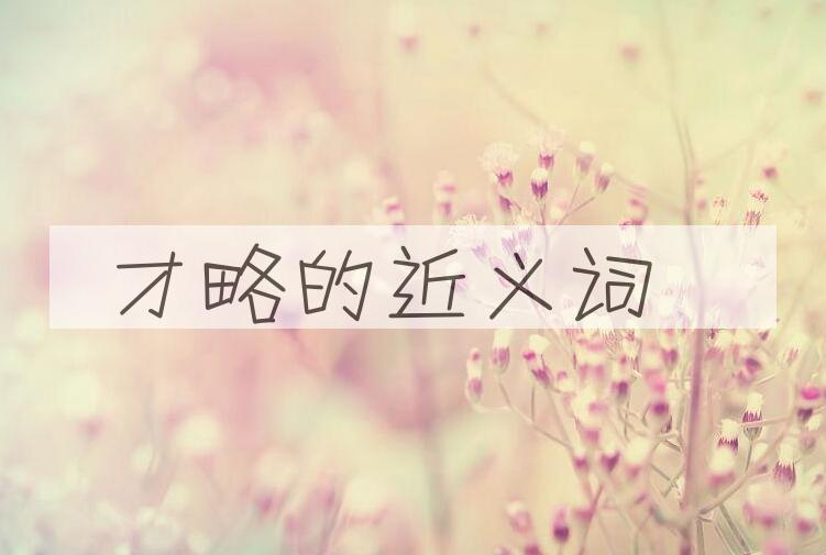 用才略造句