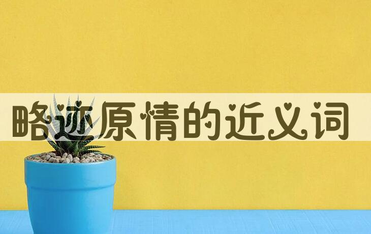 用略迹原情造句