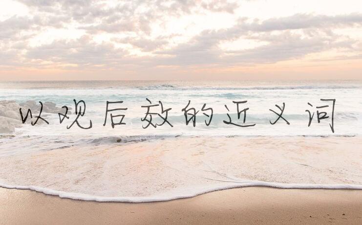 用以观后效造句