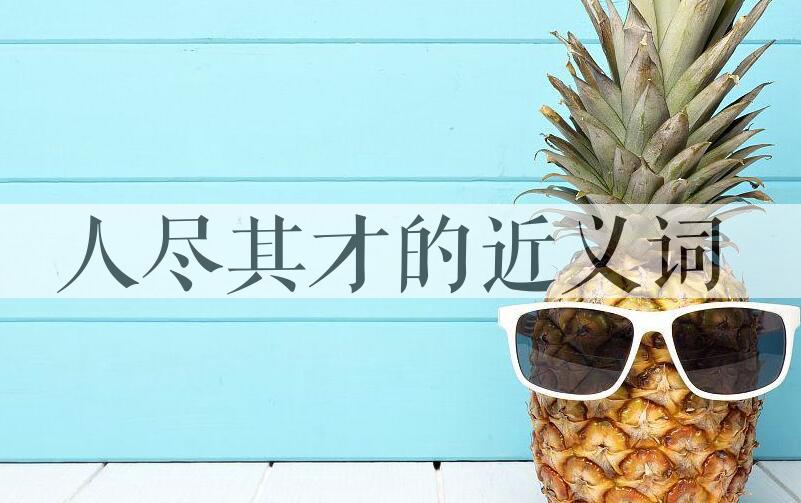 用人尽其才造句