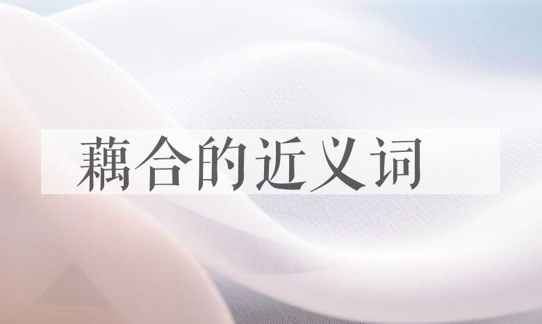 用藕合造句