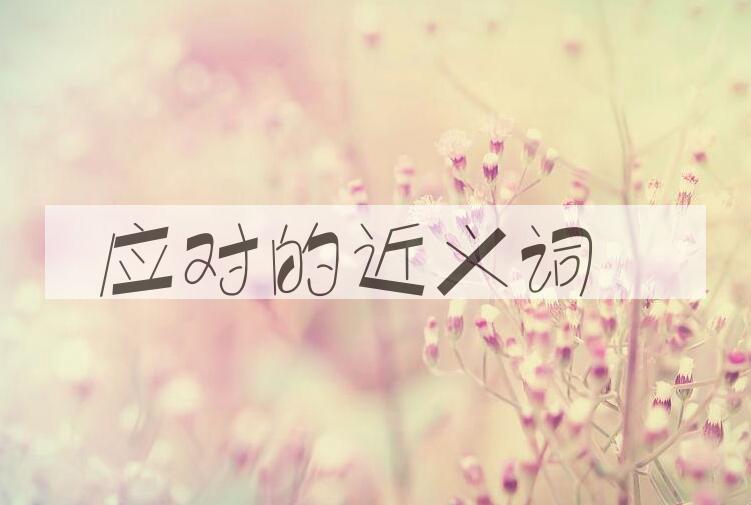 用应对造句