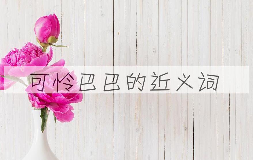 用可怜巴巴造句