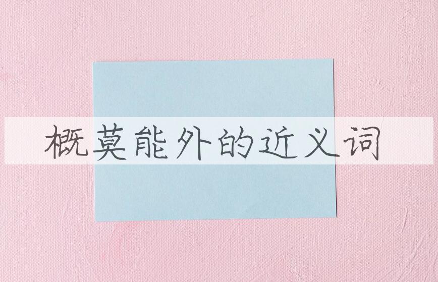 用概莫能外造句