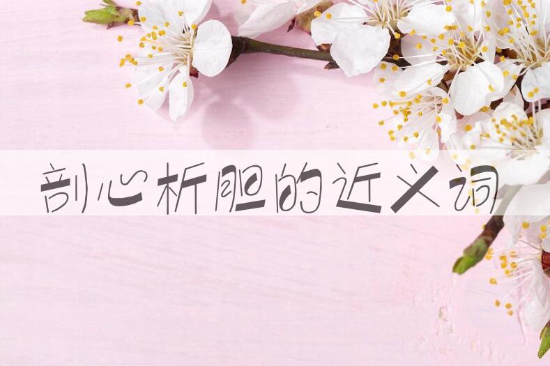 用剖心析胆造句