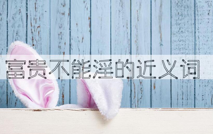 用富贵不能淫造句