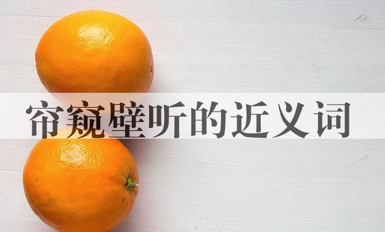 用帘窥壁听造句