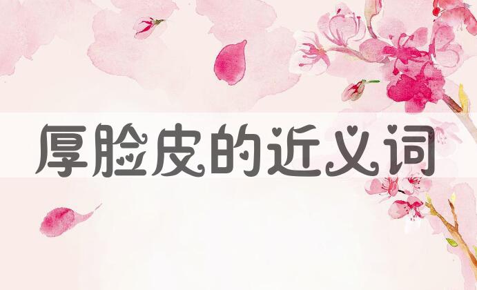 用厚脸皮造句