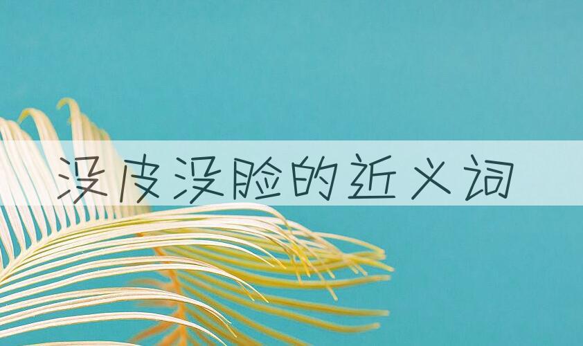 用没皮没脸造句