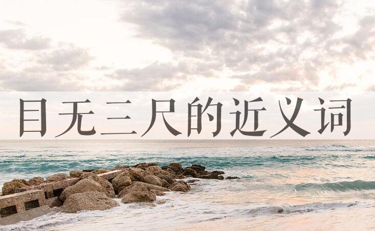 用目无三尺造句