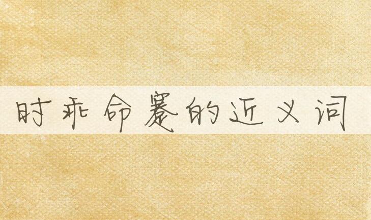 用时乖命蹇造句