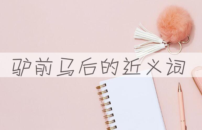 用驴前马后造句