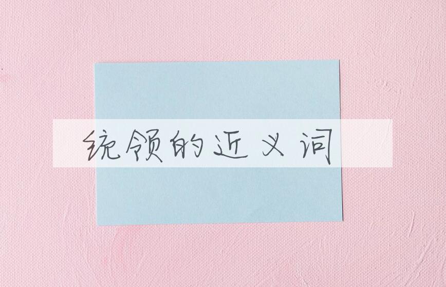 用统领造句
