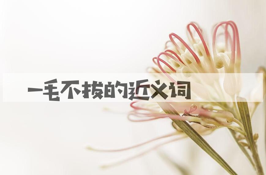 用一毛不拔造句