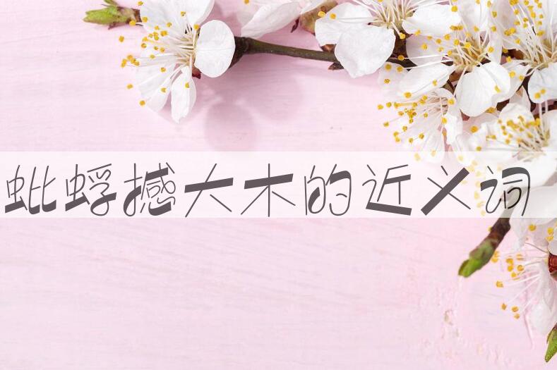 用蚍蜉撼大木造句