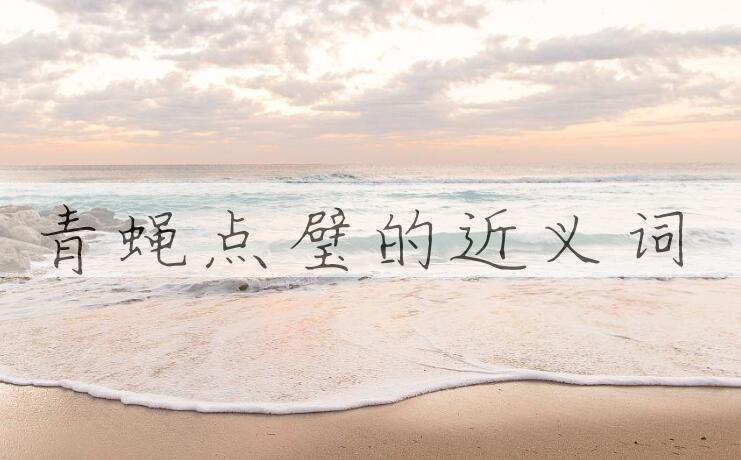 用青蝇点璧造句