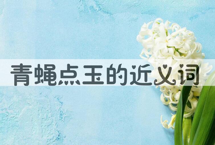 用青蝇点玉造句