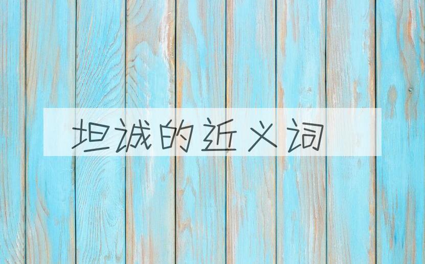用坦诚造句