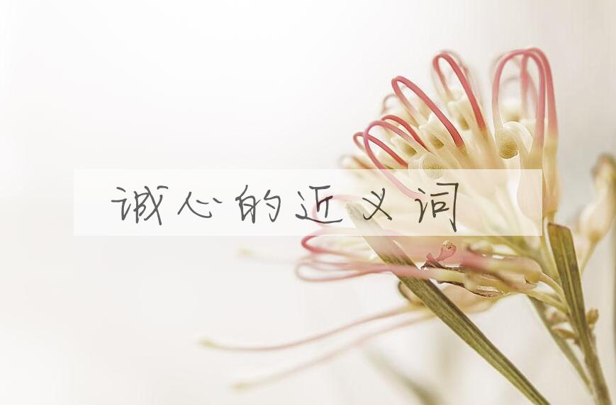 用诚心造句