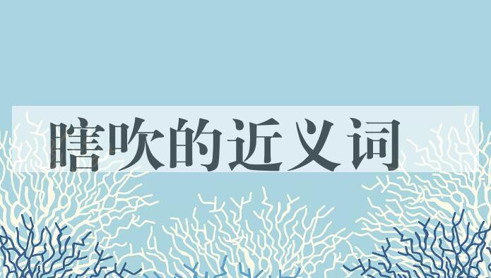 用瞎吹造句