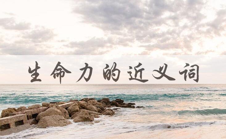用生命力造句