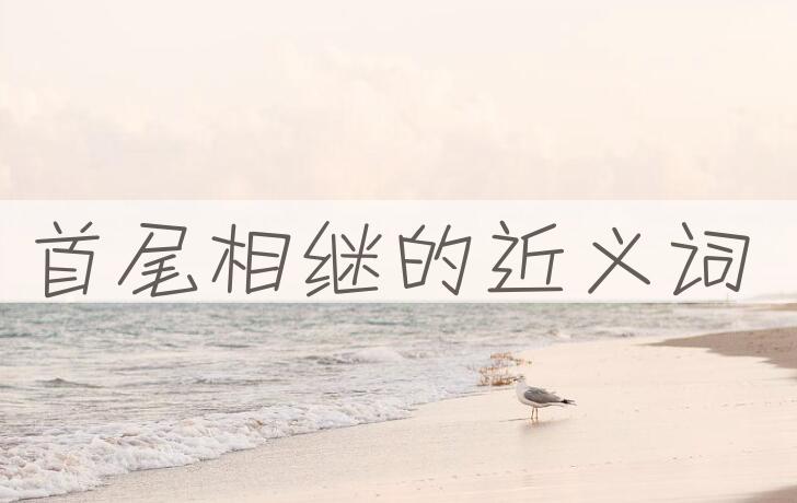 用首尾相继造句