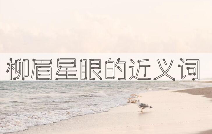 用柳眉星眼造句