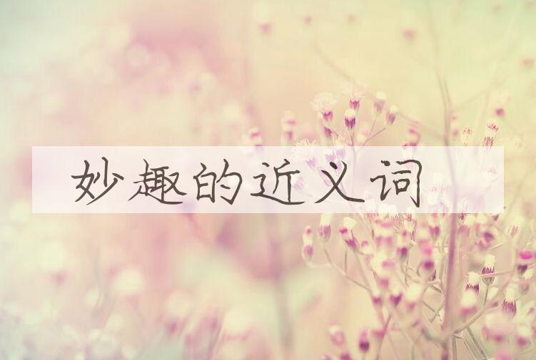 用妙趣造句