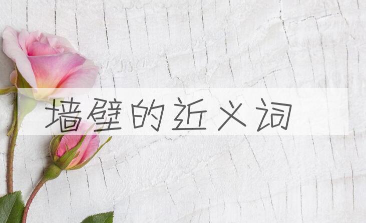 用墙壁造句