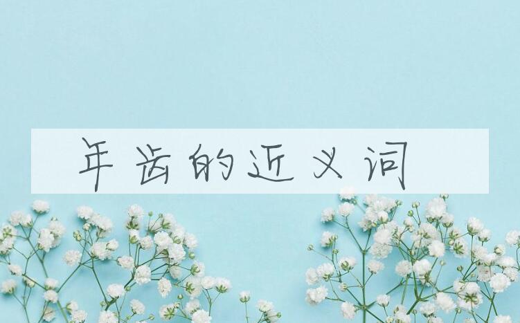 用年齿造句