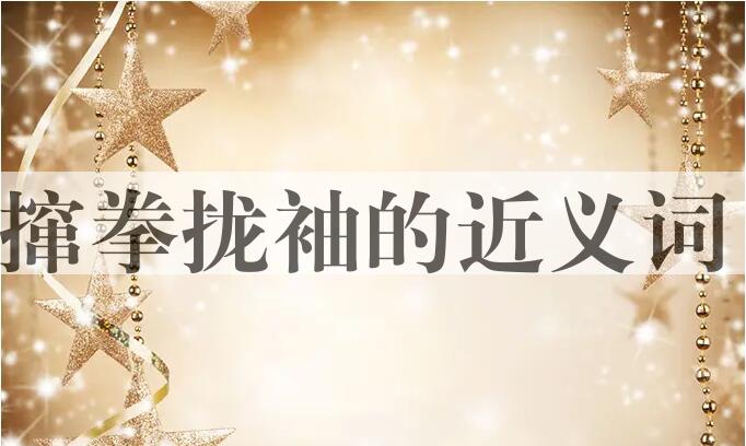 用撺拳拢袖造句
