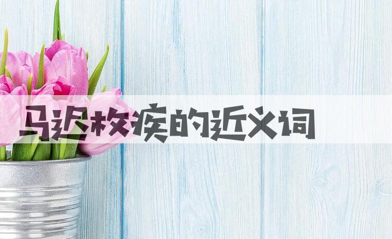 用马迟枚疾造句