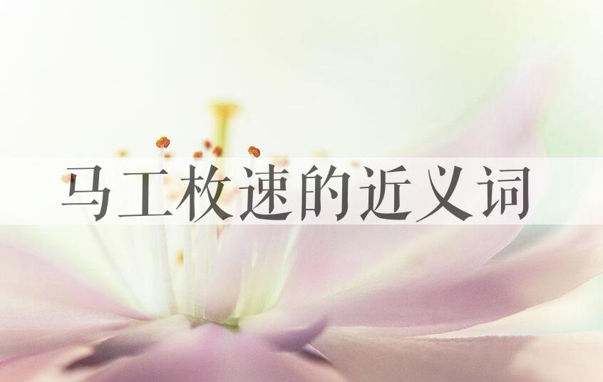 用马工枚速造句