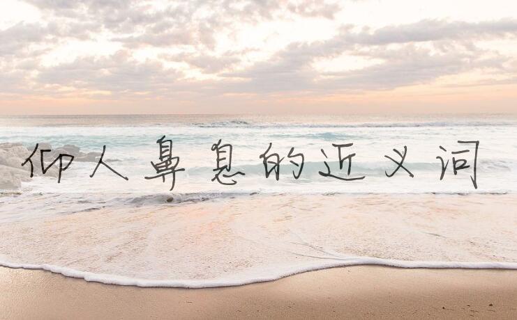 用仰人鼻息造句