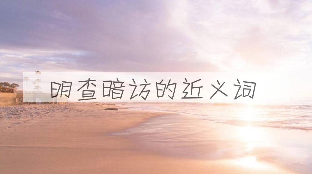用明查暗访造句