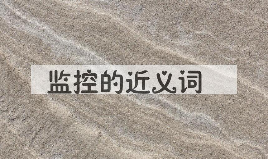 用监控造句