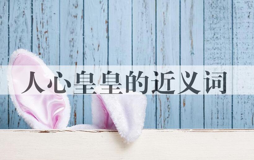 用人心皇皇造句