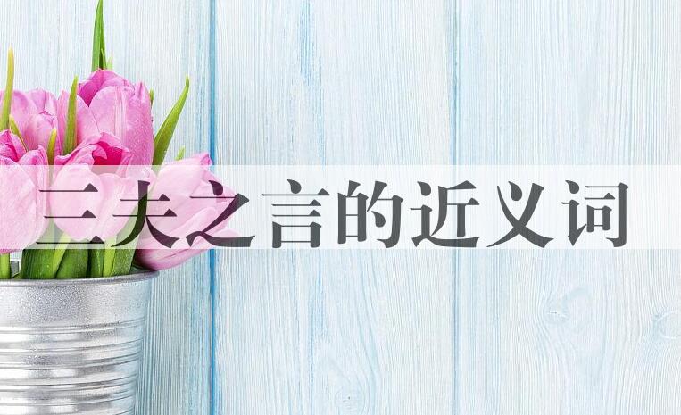 用三夫之言造句