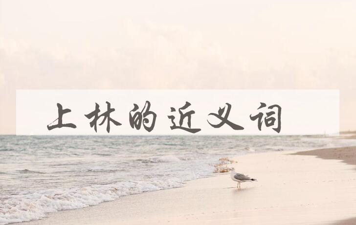 用上林造句