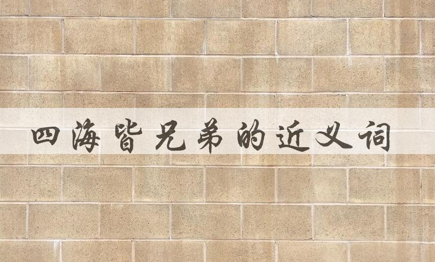 用四海皆兄弟造句