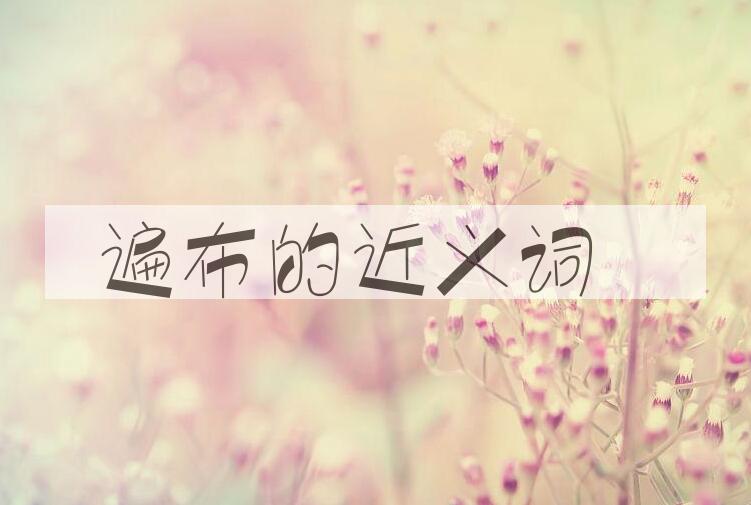 用遍布造句