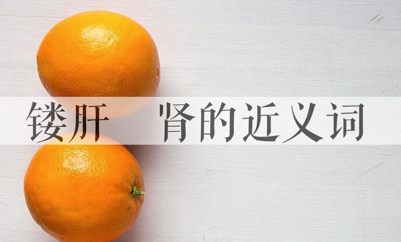 用镂肝鉥肾造句
