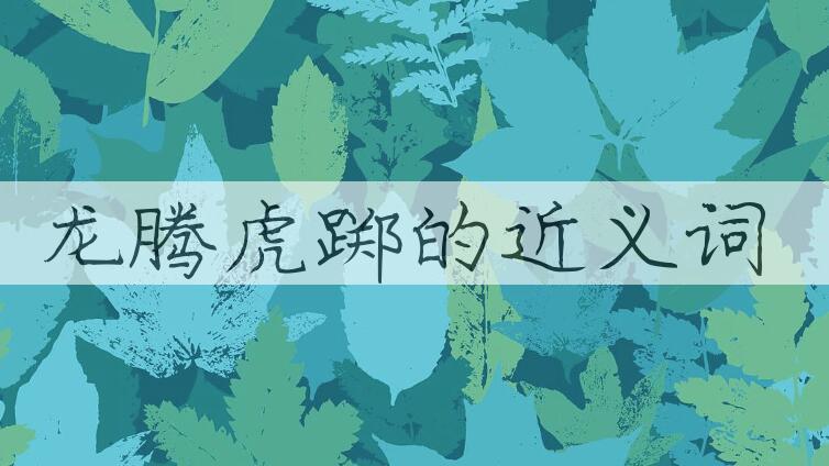 用龙腾虎踯造句