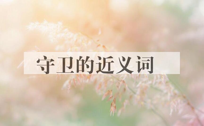 用守卫造句
