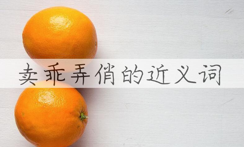 用卖乖弄俏造句